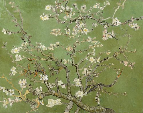 Fleur d'amandier de Vincent van Gogh (vert kaki)