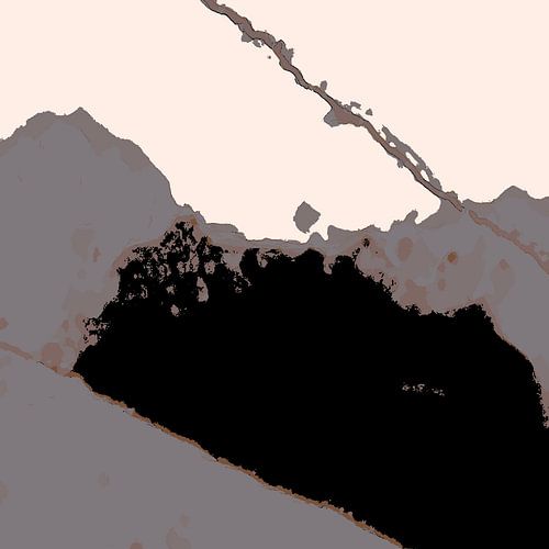 Organic 16 | Gedempt Neutraal & Zwart Abstract