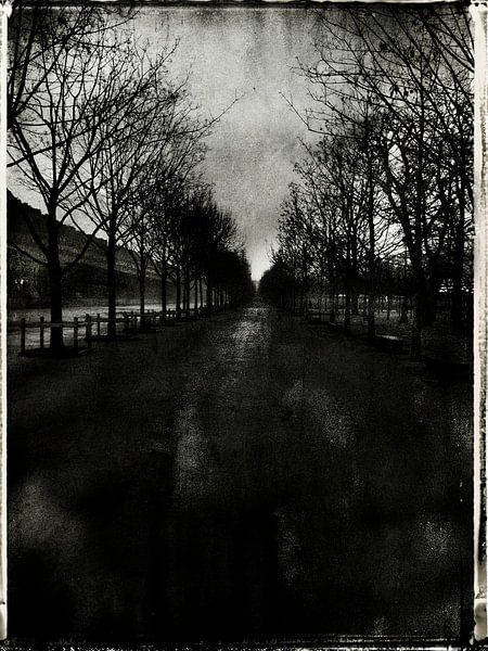 Tuileries von sophie etchart