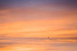 Sahara Sonnenuntergang mit zwei Vögel in den Himmel von Joyce van Galen