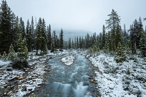 Winterlandschap in de Rocky Mountains
