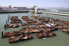 Pier 39 by Henk Langerak