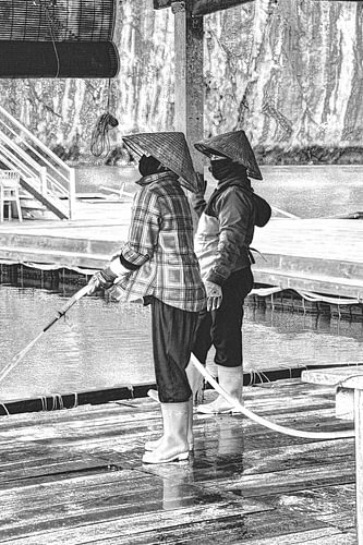 Oestervrouwen in de Ha Long Baai Vietnam Zwartwit