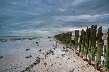 Côte de la mer des Wadden @Moddergat-Paesens (Frise)