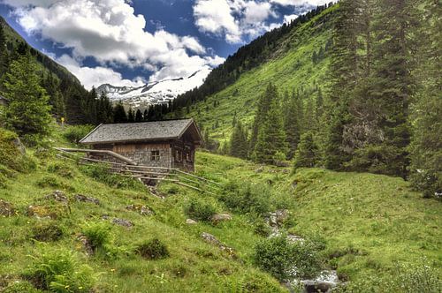 Dort oben auf dem Berg!