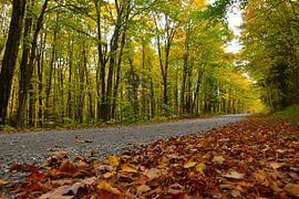 A deserted road in autumn by Claude Laprise