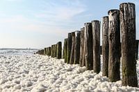 Zeezicht met schuim op golven