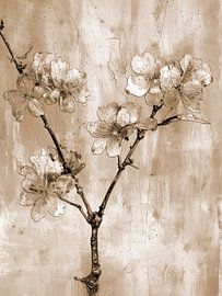 Abstract branch with cherry blossom in sepia