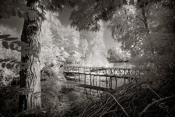 Pont vers les arbres sur Ruud Peters