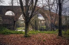 Le vieux pont de Sant Joan de les Abadesses, en Catalogne sur PhotoCluster