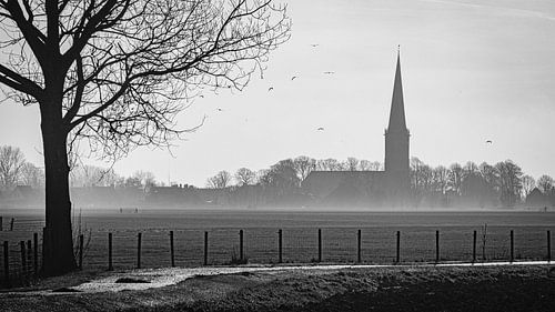 Landschap Tzum, Friesland, Nederland.