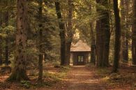 William stamp Kroondomein Het Loo by Moetwil en van Dijk - Fotografie thumbnail