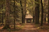 Willemstempel Kroondomein Het Loo van Moetwil en van Dijk - Fotografie thumbnail