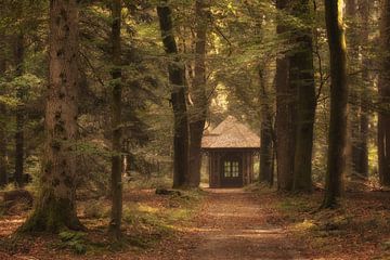 Willemstempel Kroondomein Het Loo