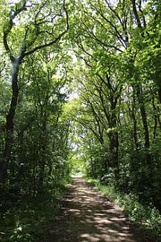 Nehmen Sie sich einen Moment Zeit für sich selbst von Cheyenne Photography