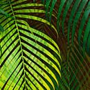 TROPICAL GREENERY LEAVES no10 von Pia Schneider Miniaturansicht