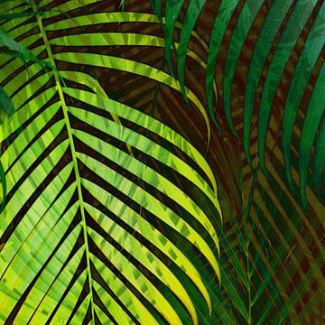 TROPICAL GREENERY LEAVES no10 sur Pia Schneider