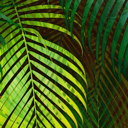 TROPICAL GREENERY LEAVES no10