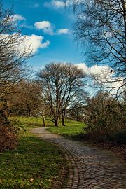 De weg naar geluk? van Elbkind89