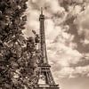 Tour Eiffel sur Johan Vanbockryck