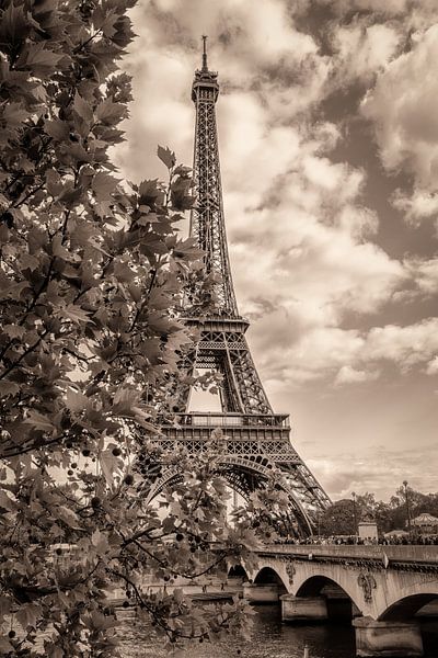 Eiffeltoren van Johan Vanbockryck