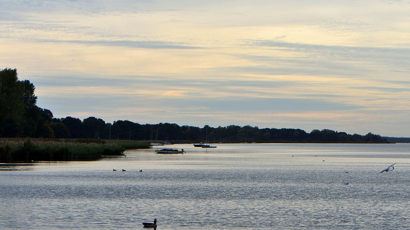 Zicht langs de kust van de Wolderwijd van Gerard de Zwaan
