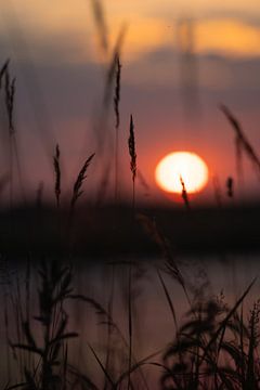 Zonsondergang oranje van Patricia van Kuik