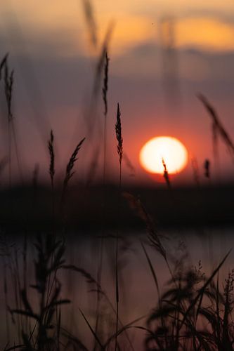 Zonsondergang oranje