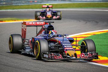 Max - Rookie 2015 - Scuderia Torro Rosso van Gerlach Delissen