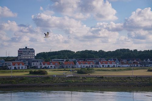 Witte huisjes aan het Seinpad in Hoek van Holland