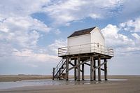 Ertrinkendes Haus Vlieland
