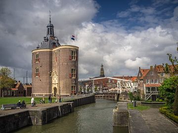 Die Dromedare in Enkhuizen von Martijn Tilroe