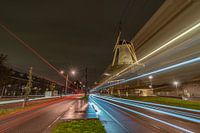 Delft - Molen de Roos