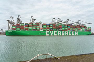 Containerschip Ever Apex van Evergreen.