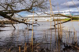 Hollandsch Diep with railway bridges by Eugene Winthagen
