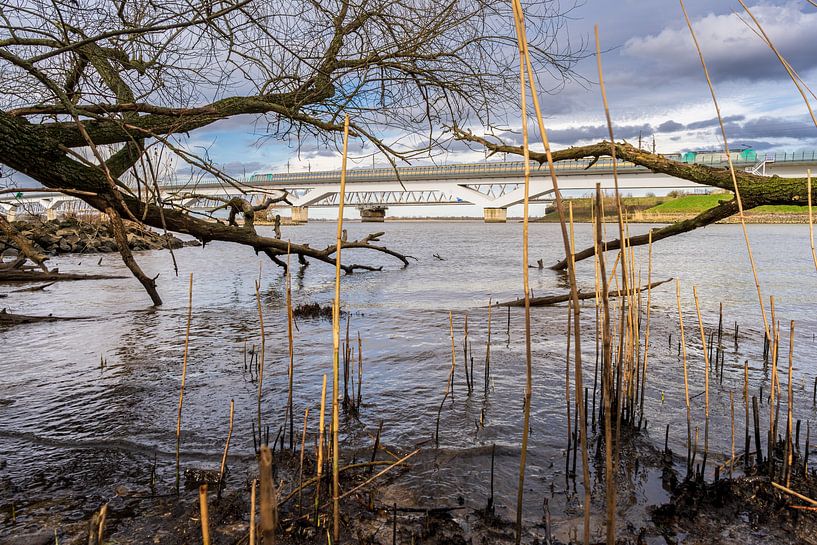 Hollandsch Diep met spoorbruggen van Eugene Winthagen