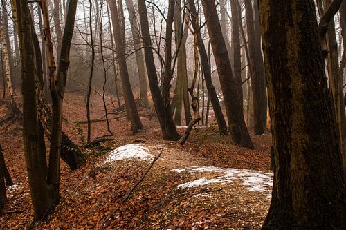 Fabelachtig herfstbos von Loes Huijnen