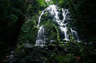 Wasserfall in Rincon de la Vieja, Costa Rica von Martijn Smeets Miniaturansicht
