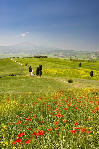 Landschap rond Pienza