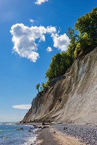 An der Küste der Ostsee auf der Insel Rügen