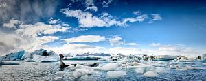 Eisberge in der Gletscherlagune Jökulsárlón in Island.