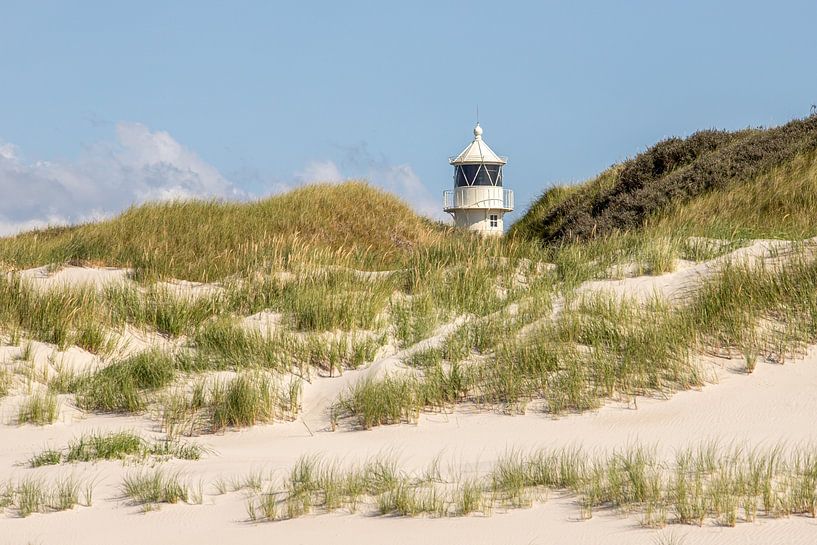 Kruislicht in de duinen op Amrum van Alexander Wolff