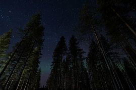 Noorderlicht sur Leon Doorn