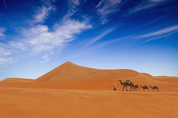 Woestijn leven .., Hesham Alhumaid van 1x