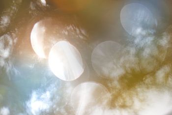 Reflecties in het water