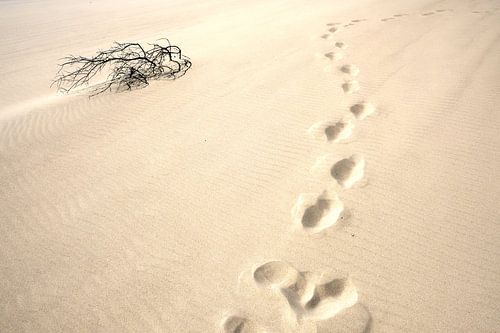 Stapsgewijs en kordaat