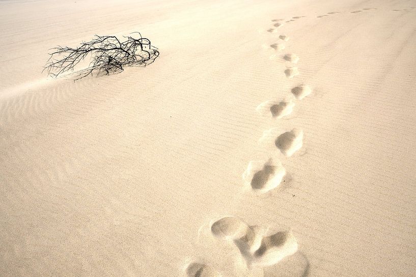 Step-by-step and decisive by Karen van de Kerkhove