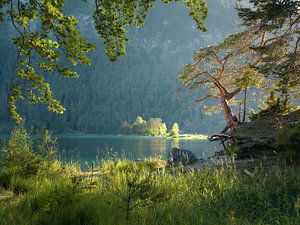 Sommerabend am Eibsee