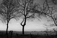 Landschap