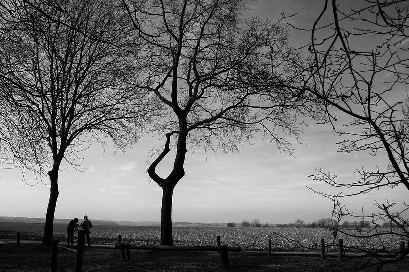 Landschap by Peggy Neuteboom